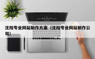 三明沈阳专业网站制作方案（沈阳专业网站制作公司）